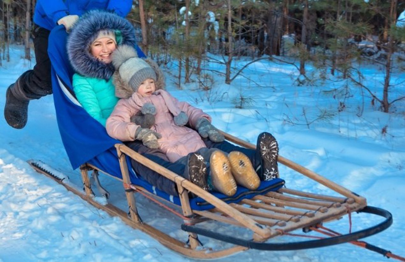 Катание на собачьих упряжках Хасках. Знакомства с Хаски в HaskiPark в  Екатеринбурге